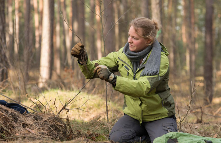 Bergwaldprojekt Bergwaldprojekt